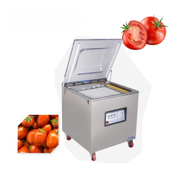 Model 600 Sanayi Tipi Pompalı Vakum Makinesi - görsel 2
